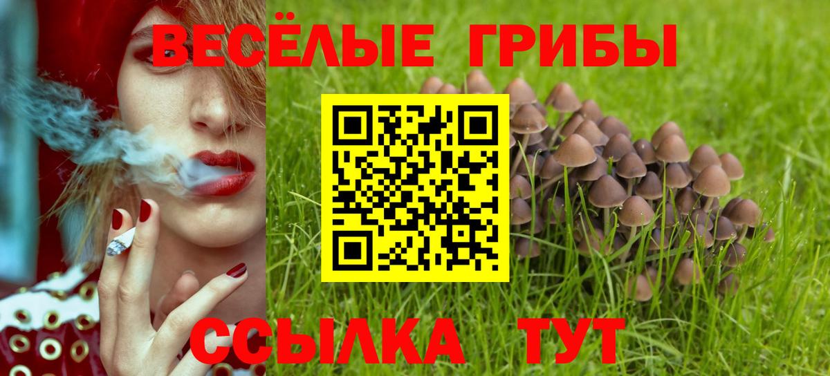 Псилоцибиновые грибы MAGIC MUSHROOMS Аша