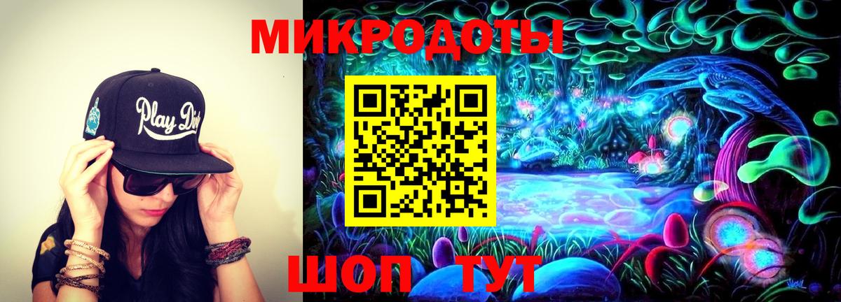 Аша  Псилоцибиновые грибы Cubensis  Галлюциногенные грибы Cubensis  Вход с VPN 